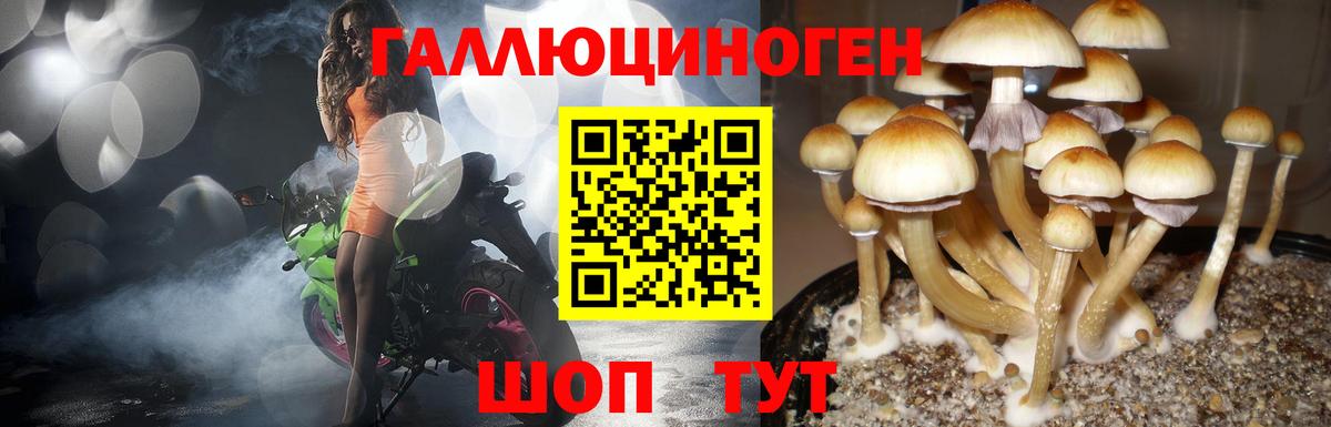 Отрадное  Псилоцибиновые грибы MAGIC MUSHROOMS  Галлюциногенные грибы мицелий  Вход с VPN 